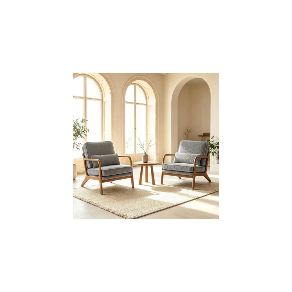 Karl home Mid-Century Accent Reading Chairs Set of 2, Green