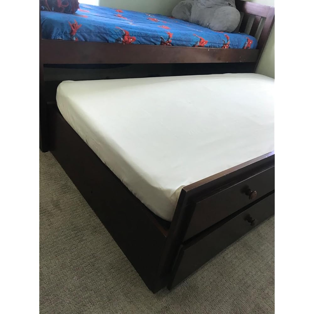 Queen (13-16 in. Deep) SureGuard Mattress Encasement - 100% Waterproof, Bed Bug Proof, Hypoallergenic - Premium Zippered Six-Sided Cover