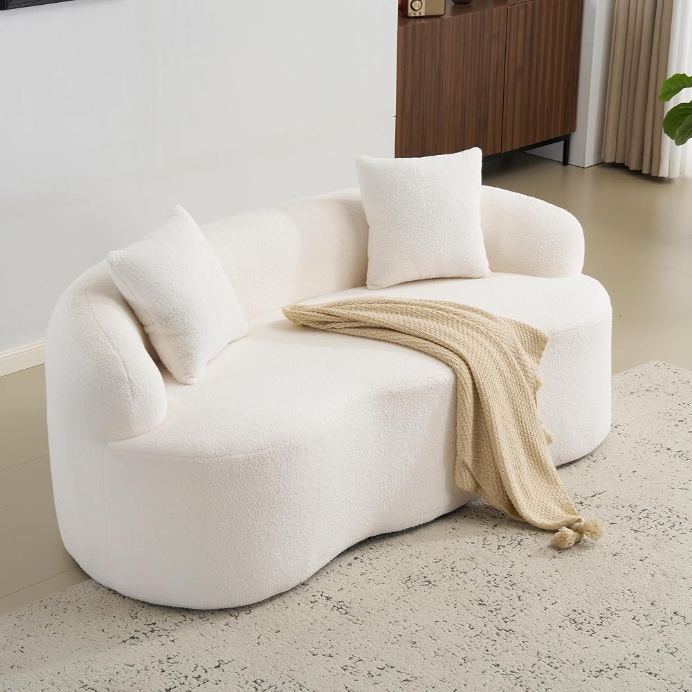 67”Curved Loveseat Sofa for Living Room, Deep Seat Love Seat Couch with 2 Throw Pillows, Modern Loveseat Adopt Teddy Fabric, Suitable Small Spaces The Cloud Loveseat, No Assembly Needed, White